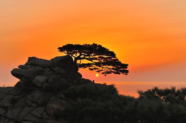 沐浴在夕阳中的河赵台