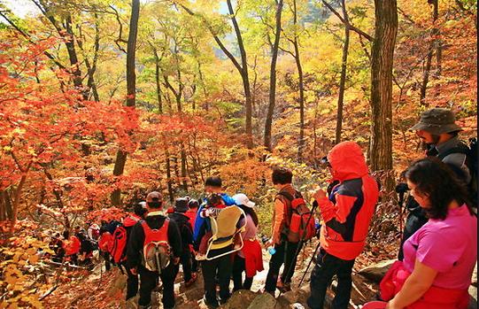 登山爱好者云集俗离山