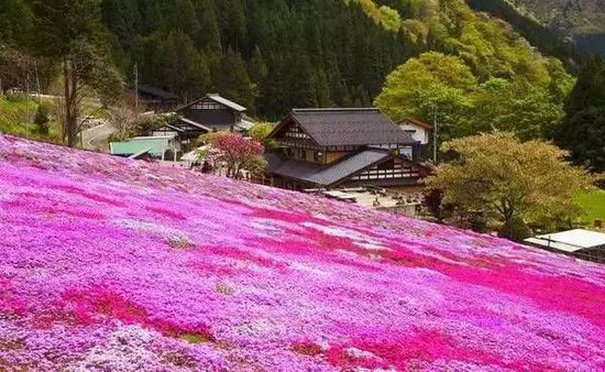 带着地图介绍十座日本唯美小镇