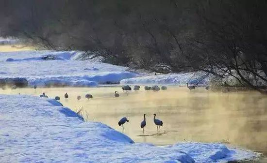 带着地图介绍十座日本唯美小镇