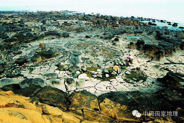 林进屿南碇岛：古火山地貌珍品的遗存