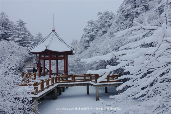 去峨眉山感受雪中戏萌猴