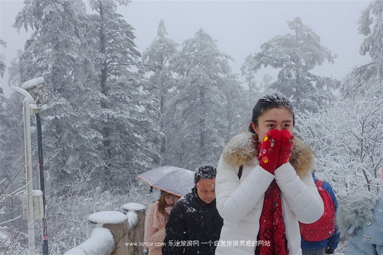 去峨眉山感受雪中戏萌猴