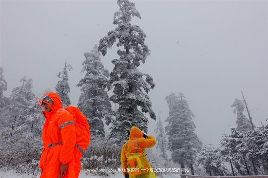 去峨眉山感受雪中戏萌猴