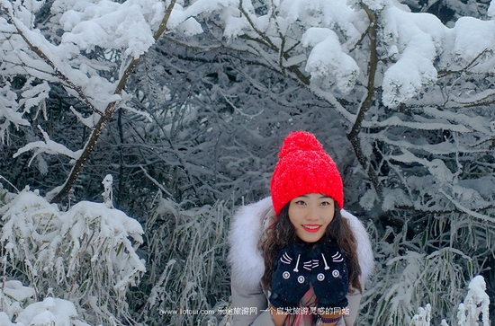 去峨眉山感受雪中戏萌猴