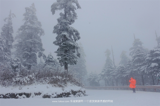 去峨眉山感受雪中戏萌猴