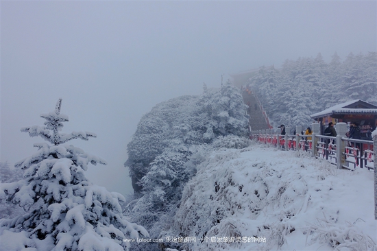 去峨眉山感受雪中戏萌猴