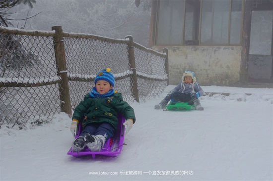 去峨眉山感受雪中戏萌猴