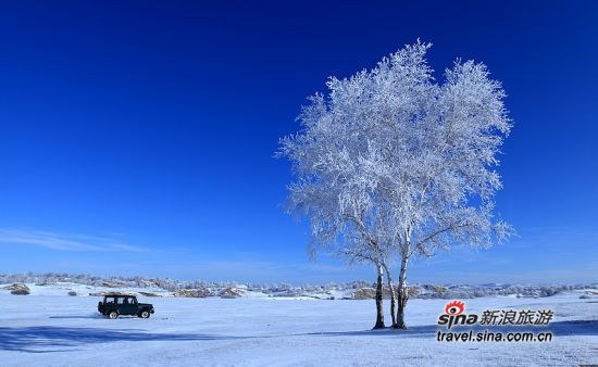 塞罕坝雪景