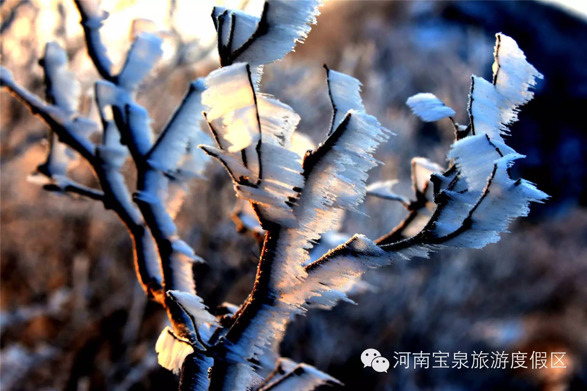 太行明珠 宝泉四季生辉