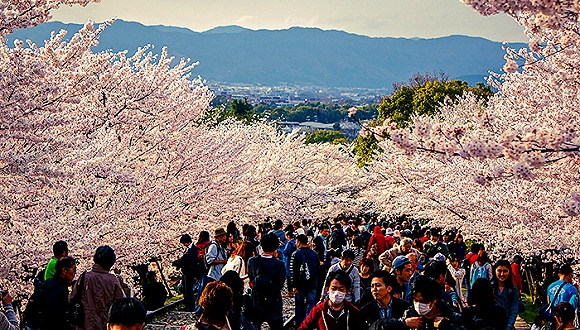 日本旅游业希望减少对中国游客依赖