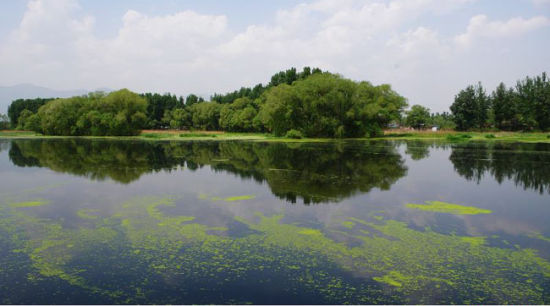 稻香湖