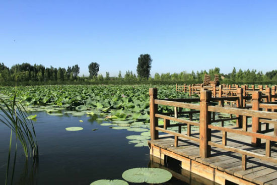 野鸭湖