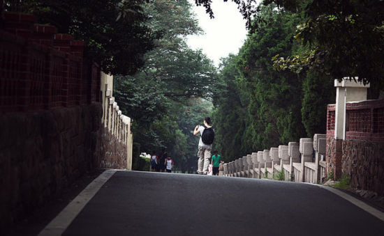 青岛八大关(图：芒果妞妞的新浪博客)