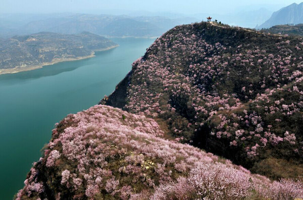 龙潭大峡谷-荆紫仙山桃花节第一期活动圆满结束