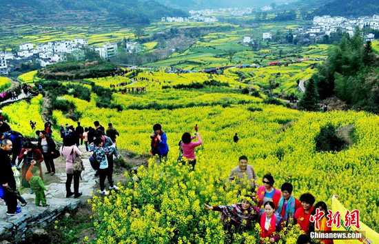 清明假期五大春花齐开放 切记文明赏花莫践踏