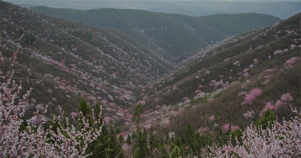 青天河春季景色