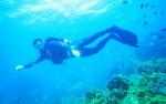 蜈支洲岛娱乐项目--堡礁潜水
