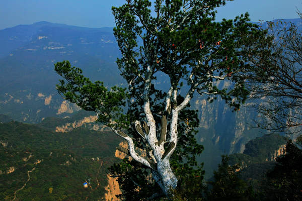 神农山风光