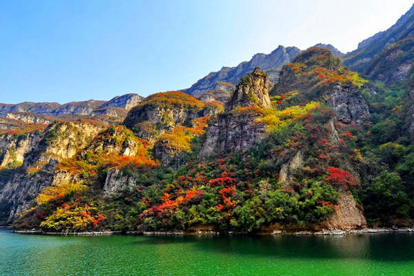 青天河红叶