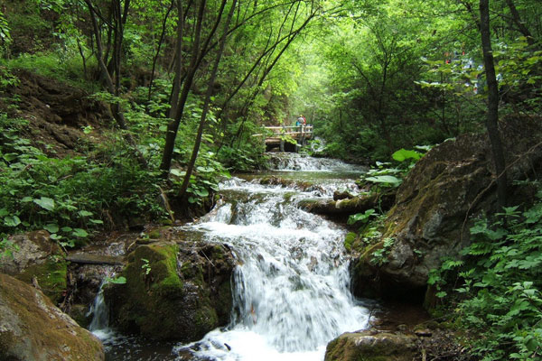 洛阳-栾川-重渡沟-溪流