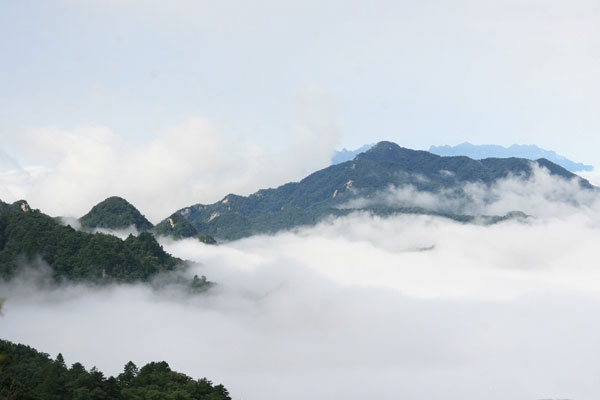 洛阳-木札岭岭云海仙境