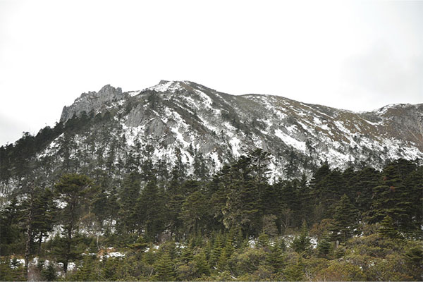 云南-香格里拉-石卡雪山3