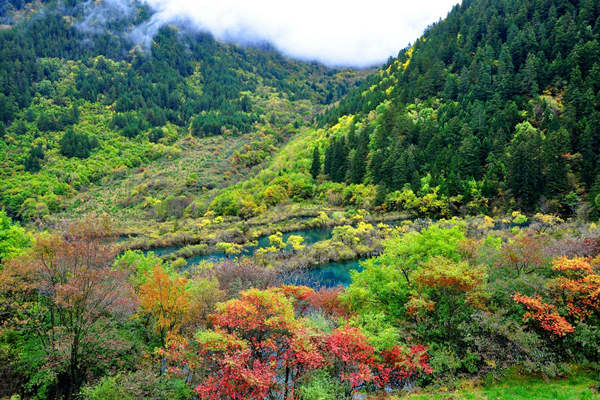 四川-九寨沟-树正沟