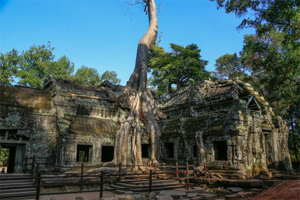 柬埔寨-吴哥窟-塔普伦寺3