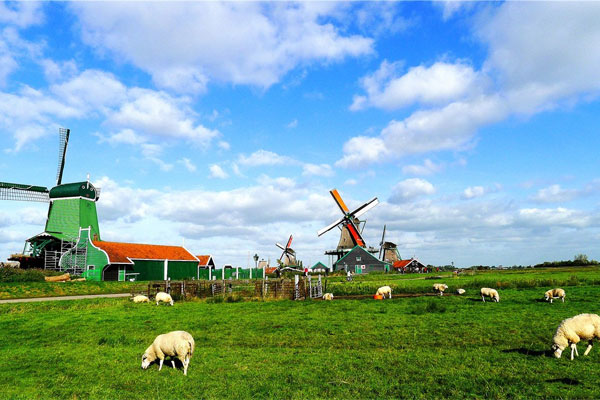 荷兰-阿姆斯特丹-桑斯安斯风车村