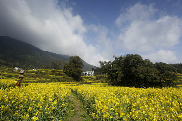 江西-婺源-江岭