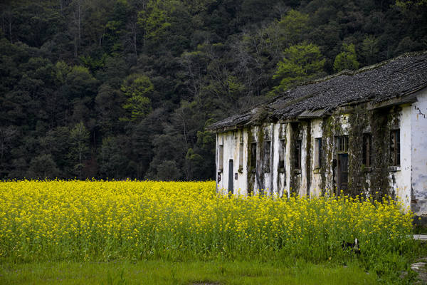 江西-婺源-思溪延村