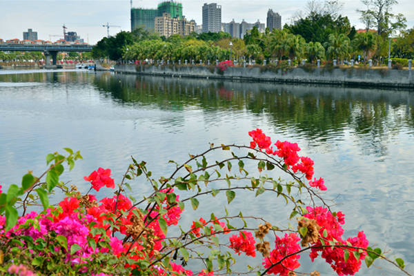 台湾-高雄-爱河