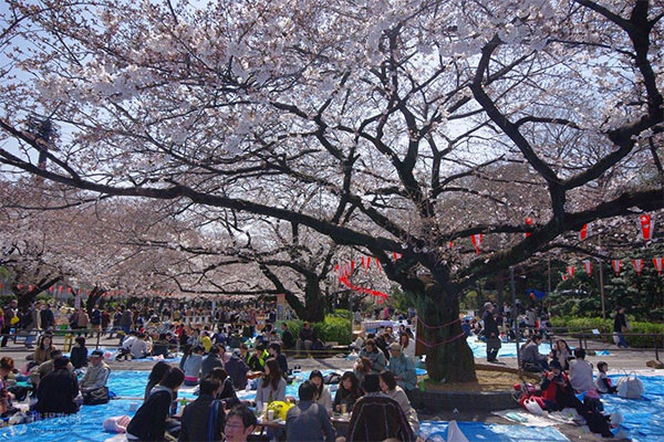 日本-东京-上野公园-景色