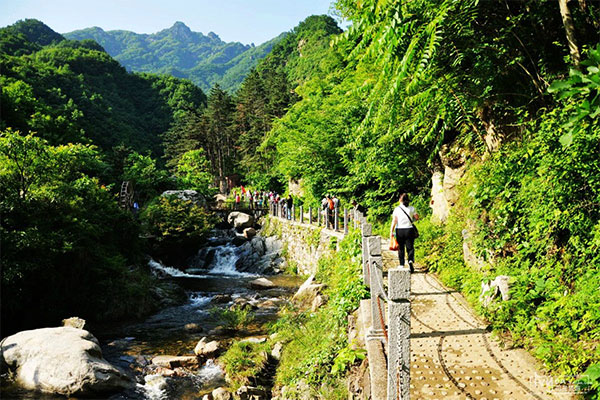 洛阳-老君山-追梦谷