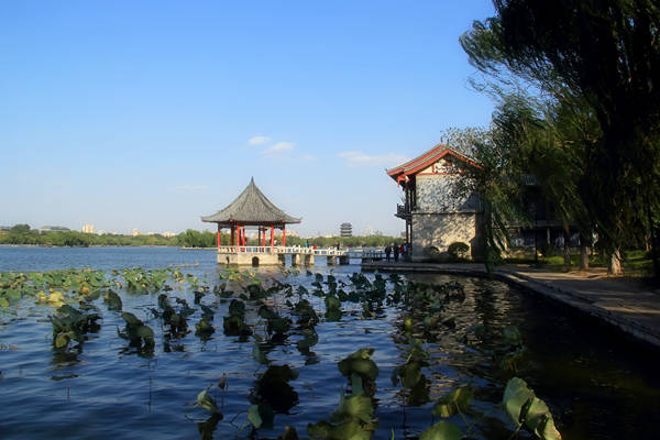 山东-济南-大明湖