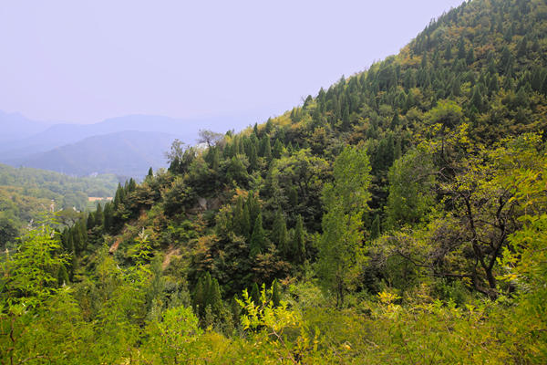 河南-郑州-环翠峪2