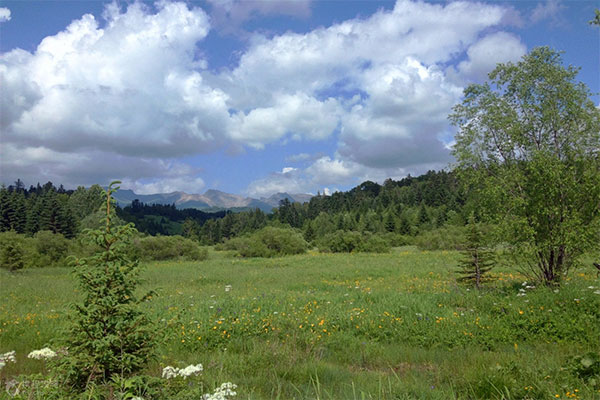 吉林-长白山-西坡景区-高山花园3