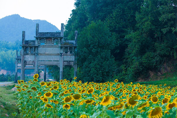 安徽-黄山-蜀源村