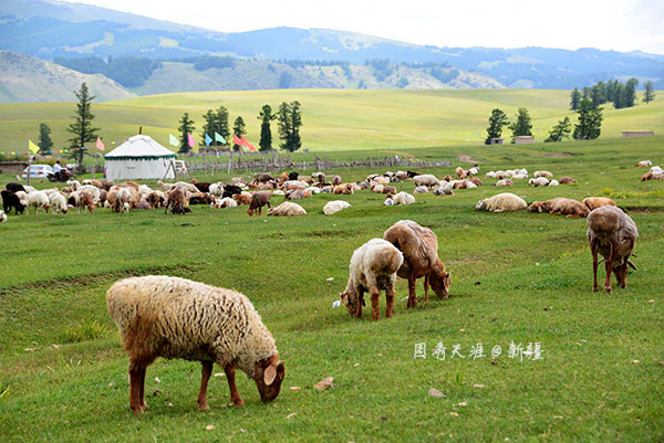 新疆-哈密-白石头风景区3