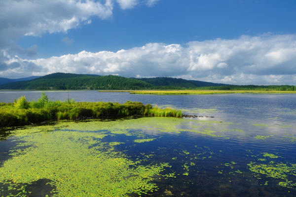 阿尔山杜鹃湖