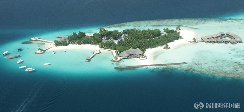 波莉珊瑚岛 Bolifushi island resort